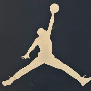 White & navy blue Jordan 6s